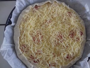 tarte-au-thon1